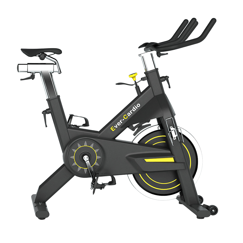 S900 Home-use Indoor Cycling Bike