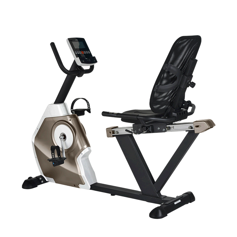SR03 Recumbent Exercise Bike